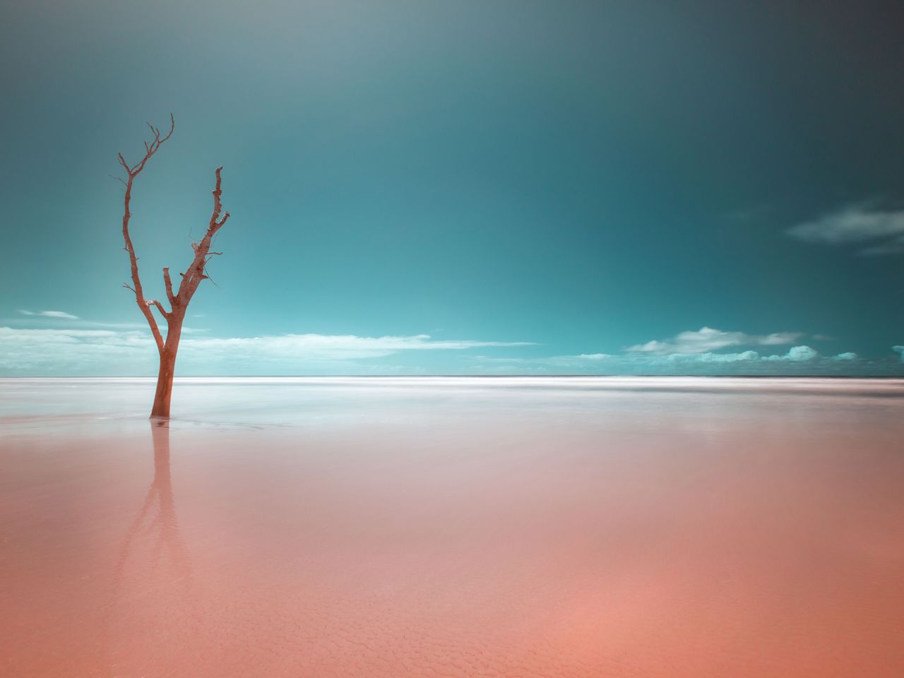 Ilha do Cardoso, S&atilde;o Paulo