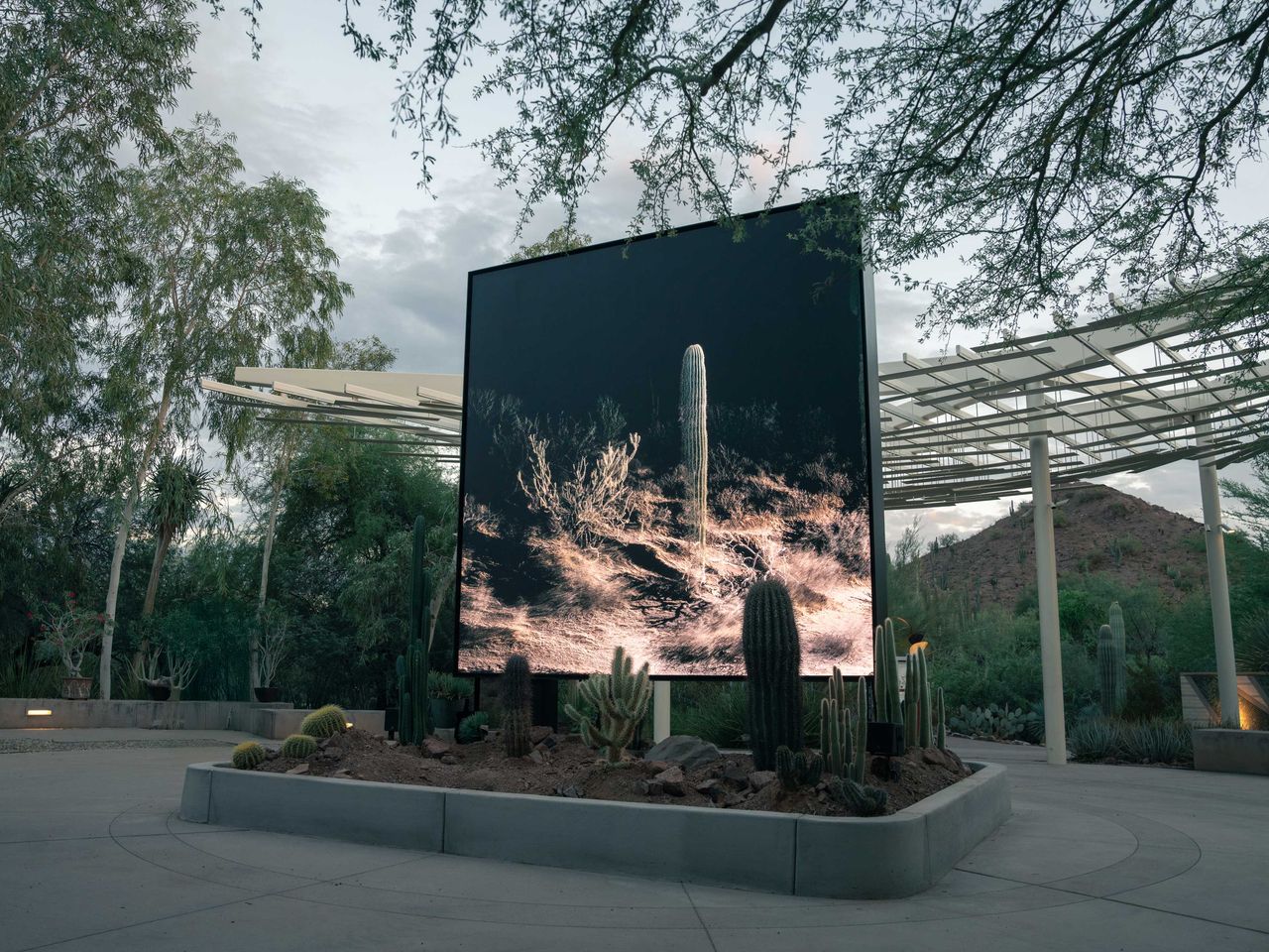 Desert Botanical Garden in Phoenix, mit Bildschirm