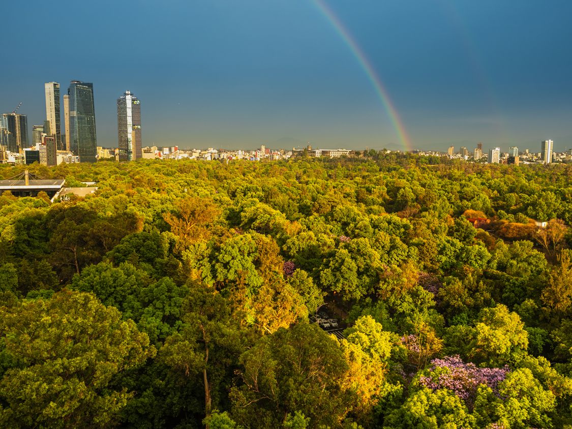 Bosque de Chapultepec, Mexico City