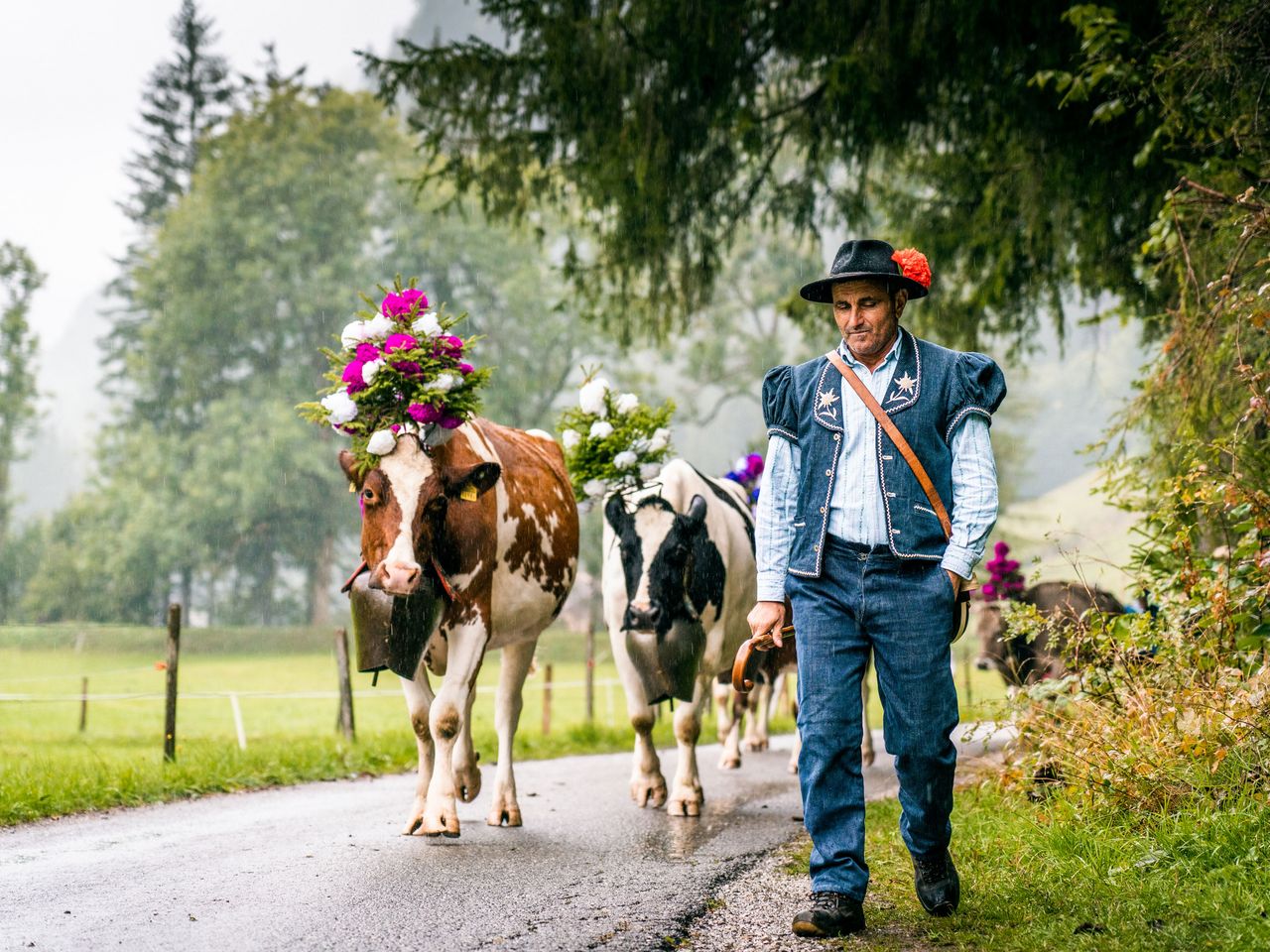 Almabzug in Charmey, Kanton Fribourg
