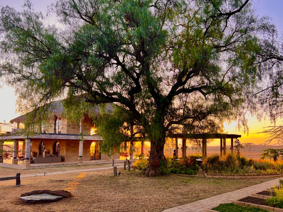 Segera Safari Lodge in Kenia