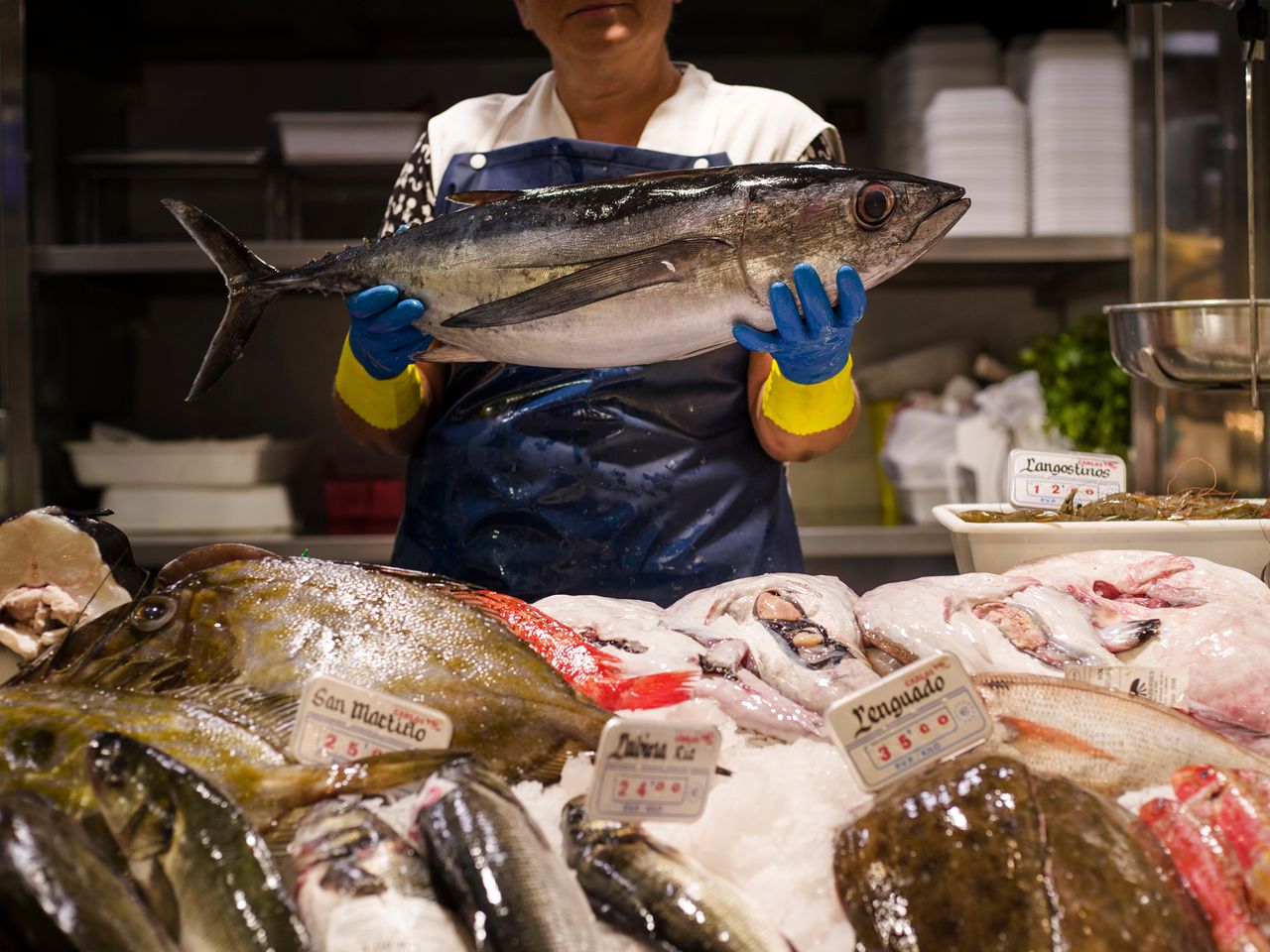 Thunfisch auf einem Fischmarkt in Spanien