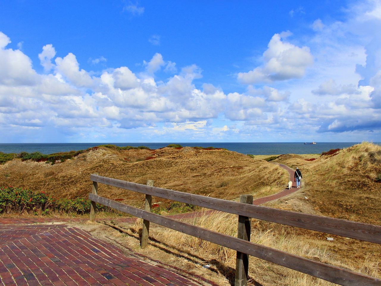 Langeoog Dünen