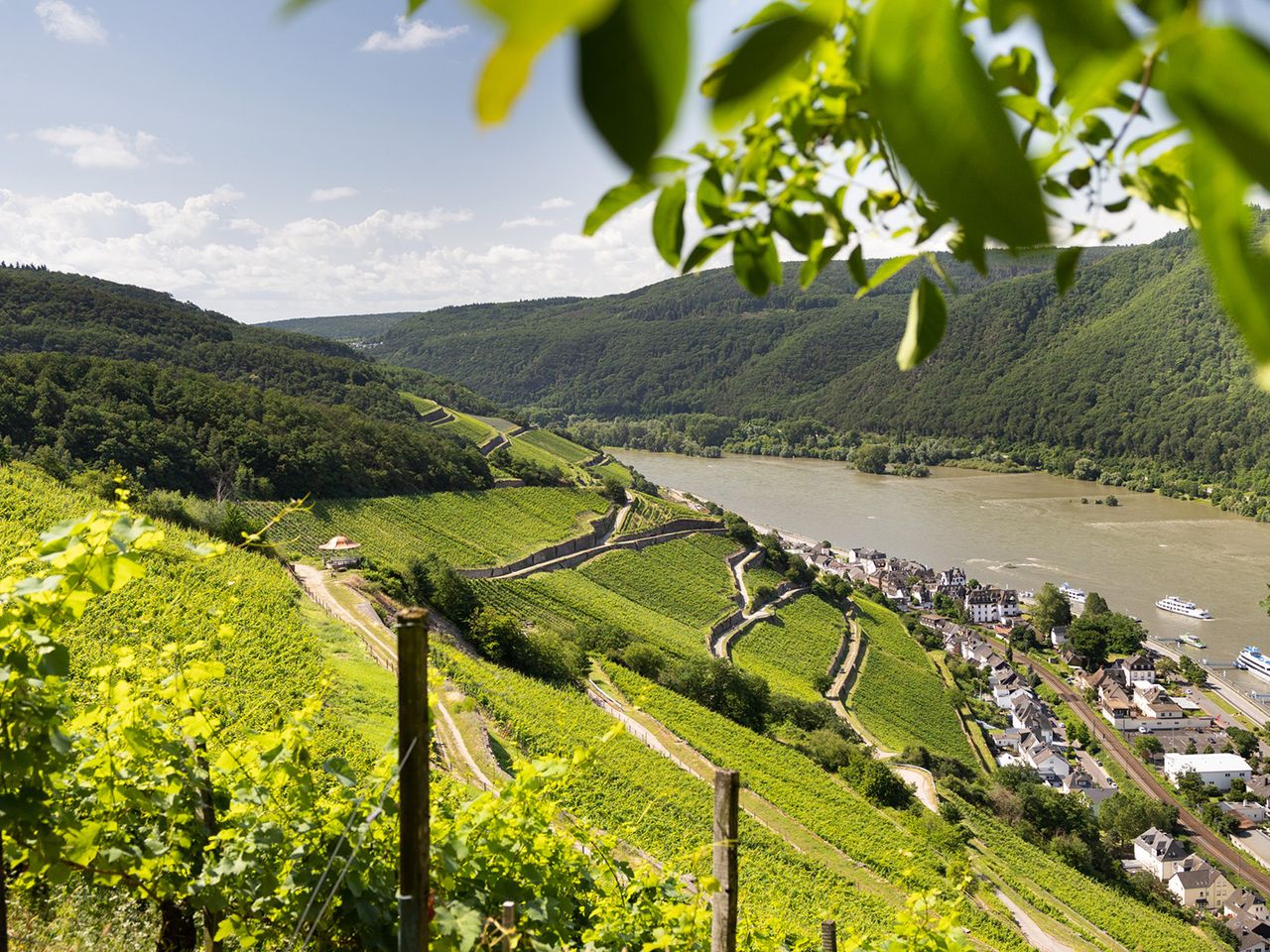 Rheinsteig, Blick auf den Rhein