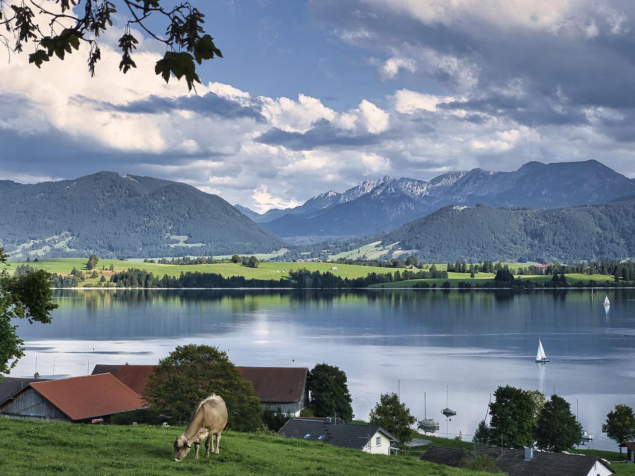 Bayern, Blick auf den Forggensee