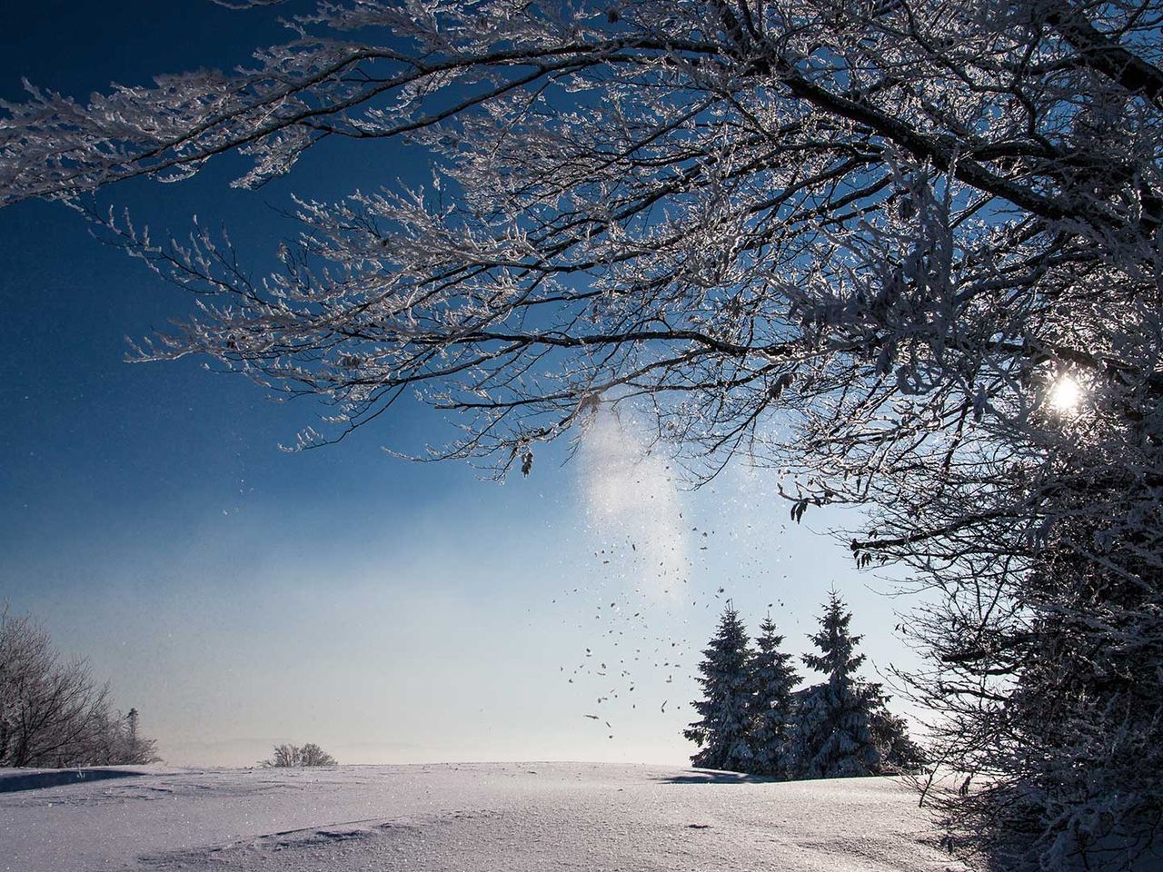 Winterurlaub im Harz, Schneelandschaft