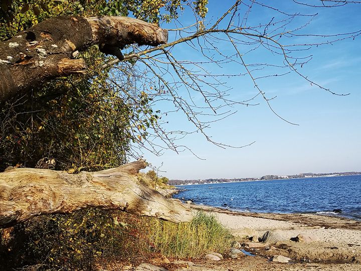 Lübecker Bucht Steilküstenwanderung