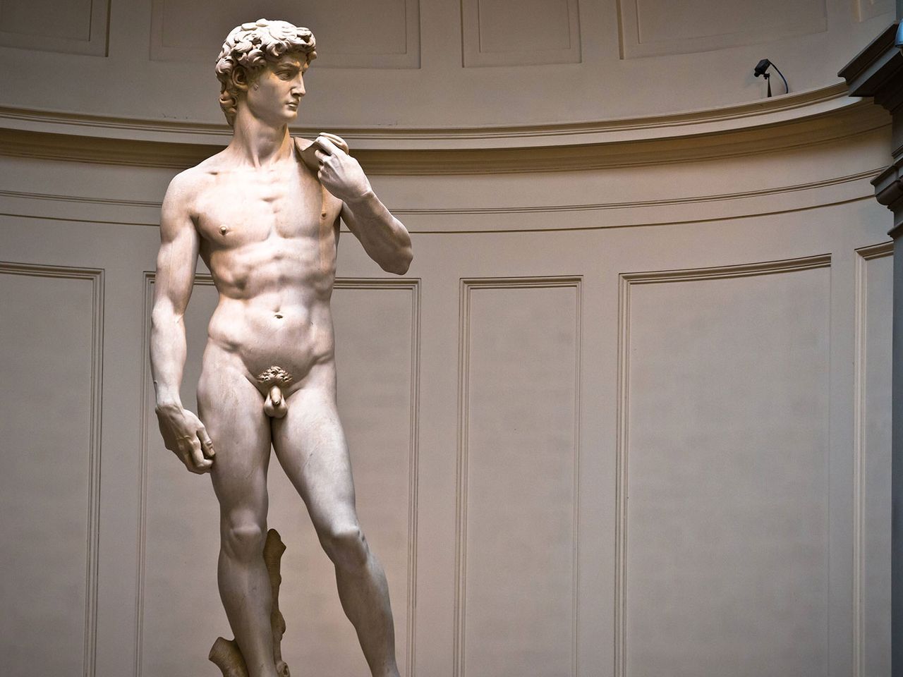 Michaelangelos Meisterwerk: Die Statue David