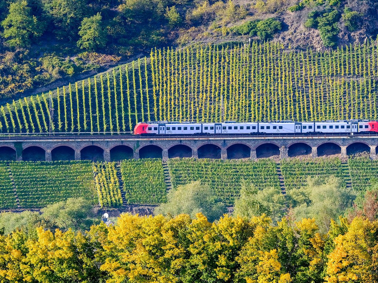Moseltalbahn, inmitten der Weinberge