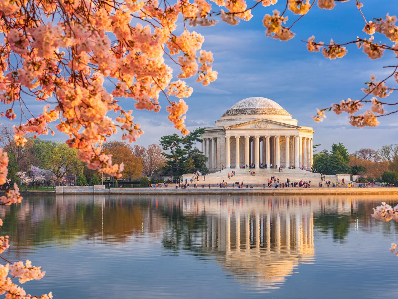 Jefferson Memorial und Kirschblüten in Washington D.C.
