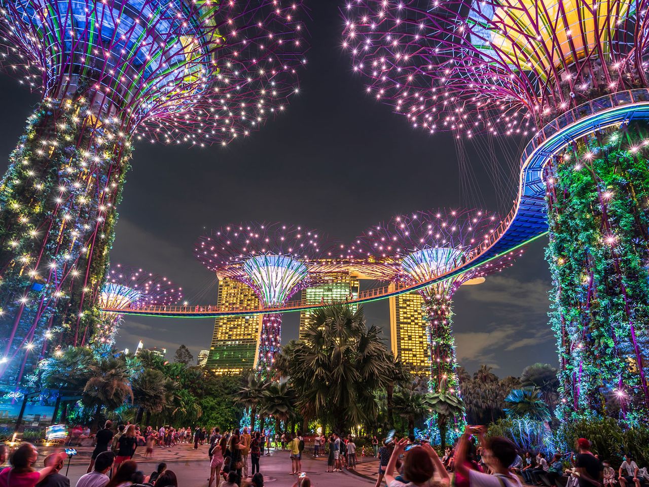 Blick auf die Supertrees im Gardens by the Bay