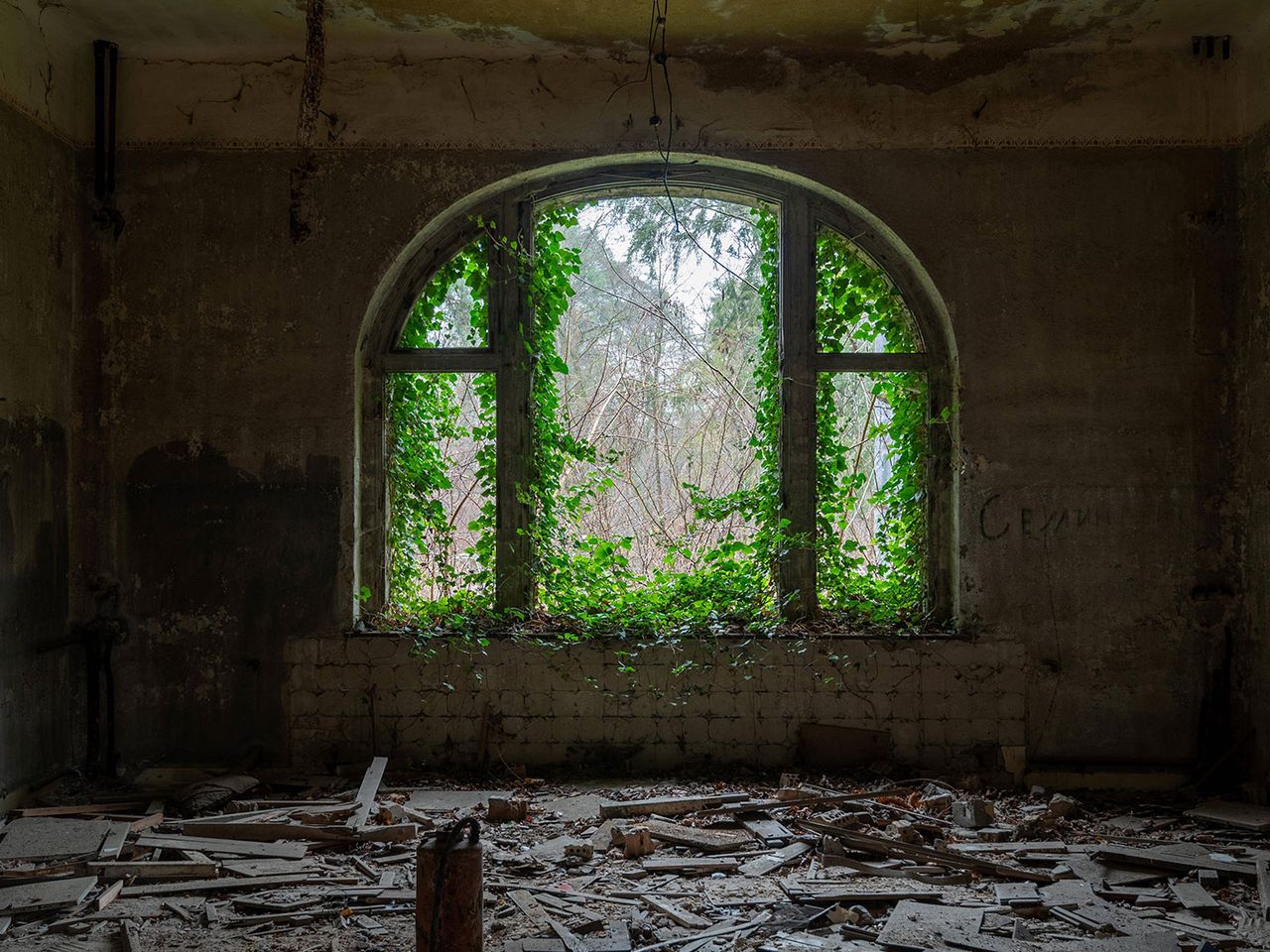 Pflanzen ranken an den Fenstern der Beelitz-Heilstätten