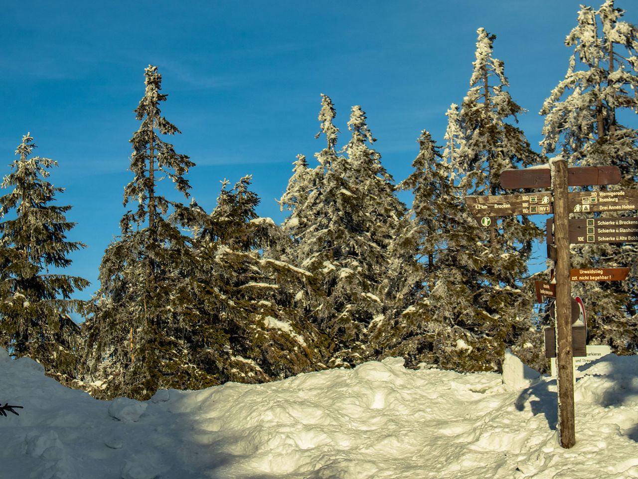 Winterurlaub im Harz, Blick vom Brocken