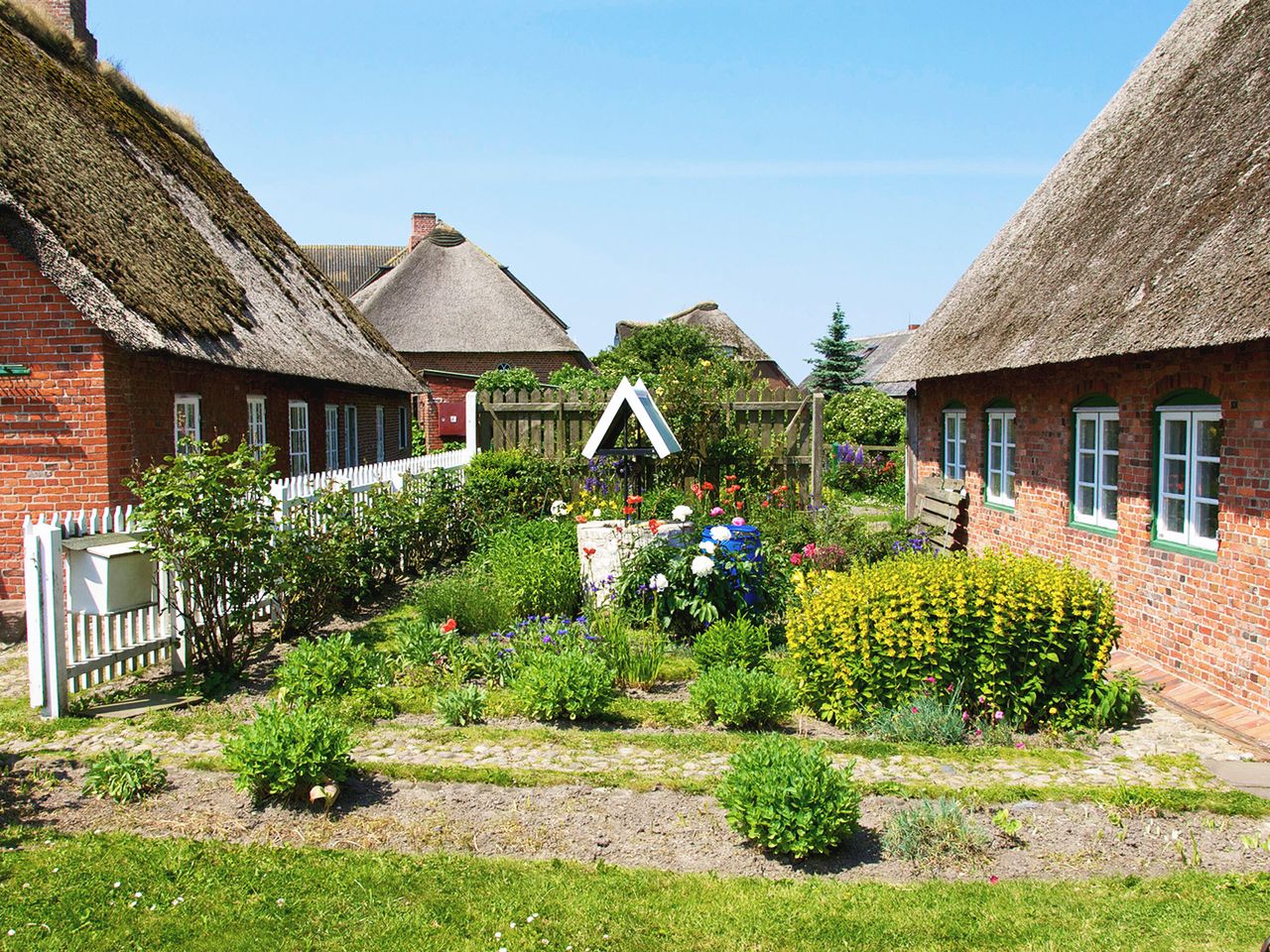 Reetdachhäuser auf der Hallig Langeneß, Nordsee Wattenmeer