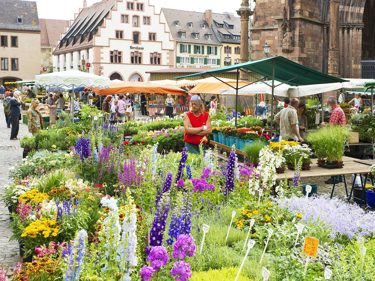 Münstermarkt, Freiburg