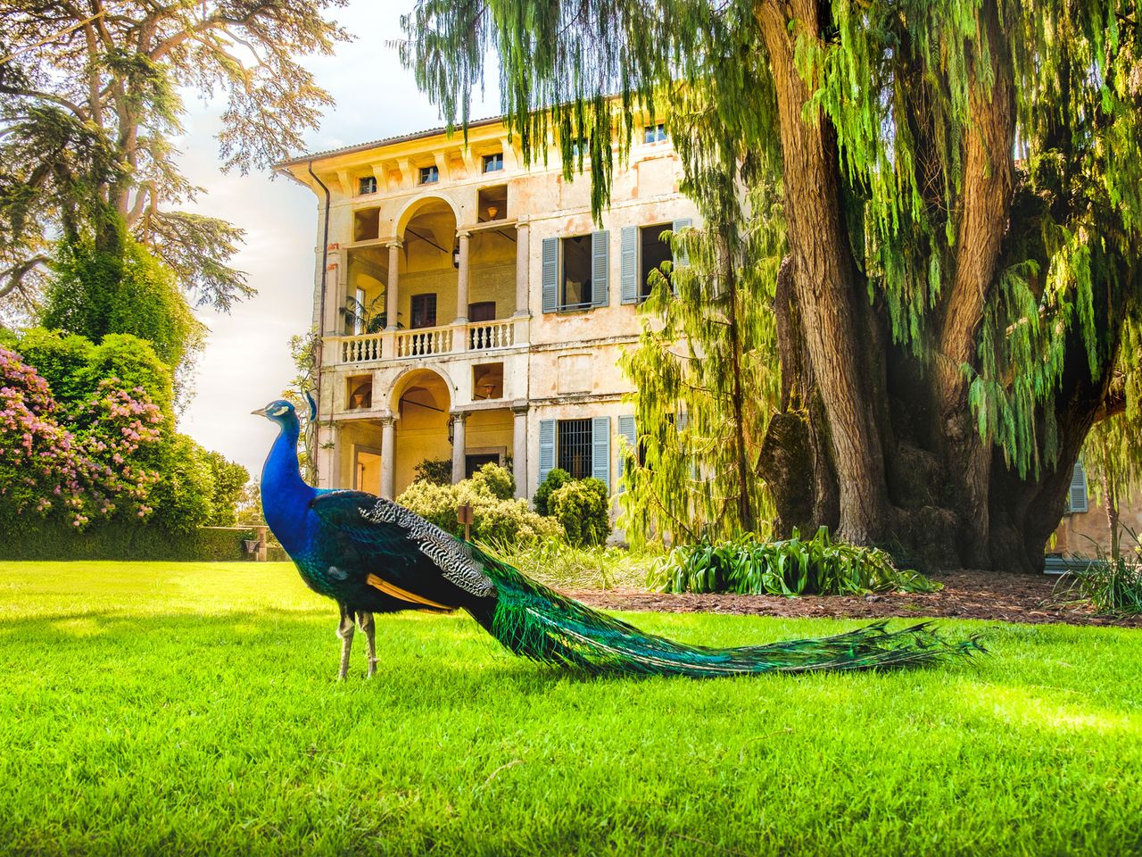 Isola Bella, italienische Terrasse mit Blick auf den Lago maggiore