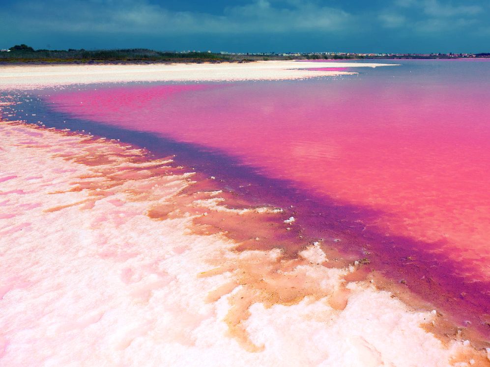 Laguna Salada de Torrevieja, Spanien