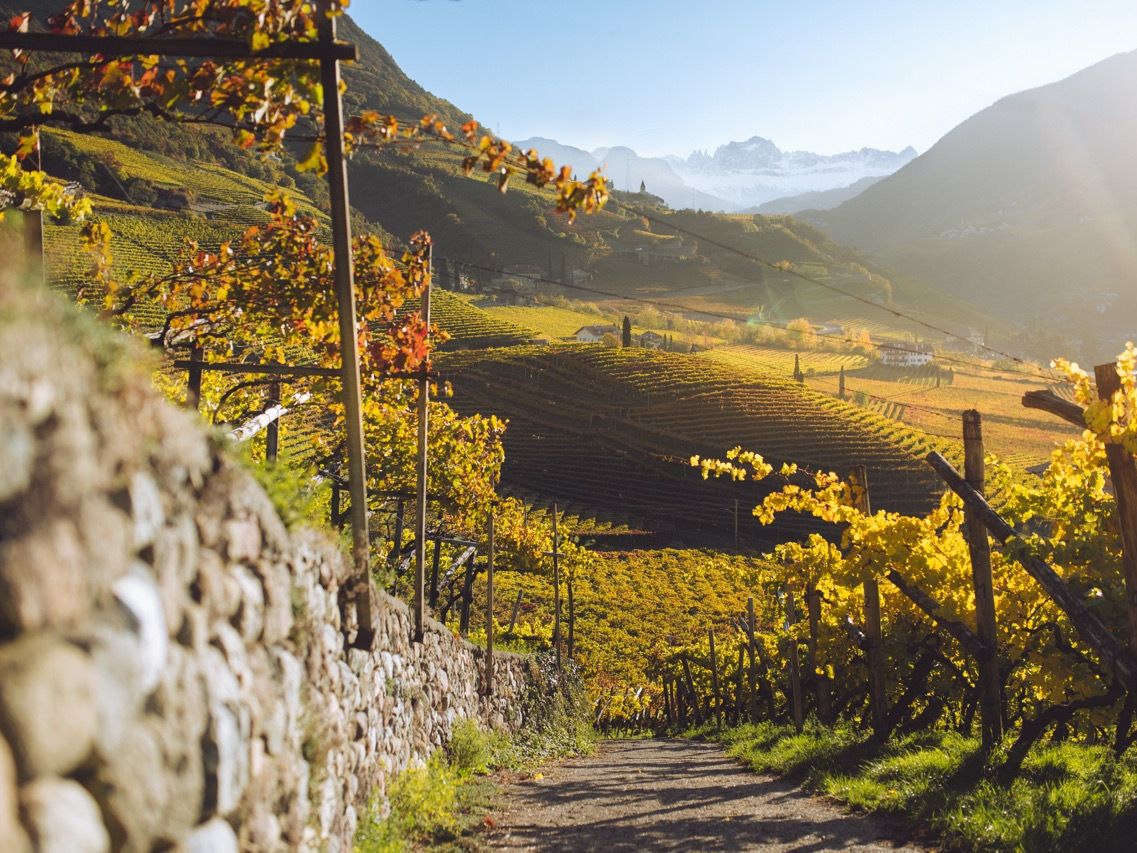 (c) IDM Südtirol_Tobias Kaser