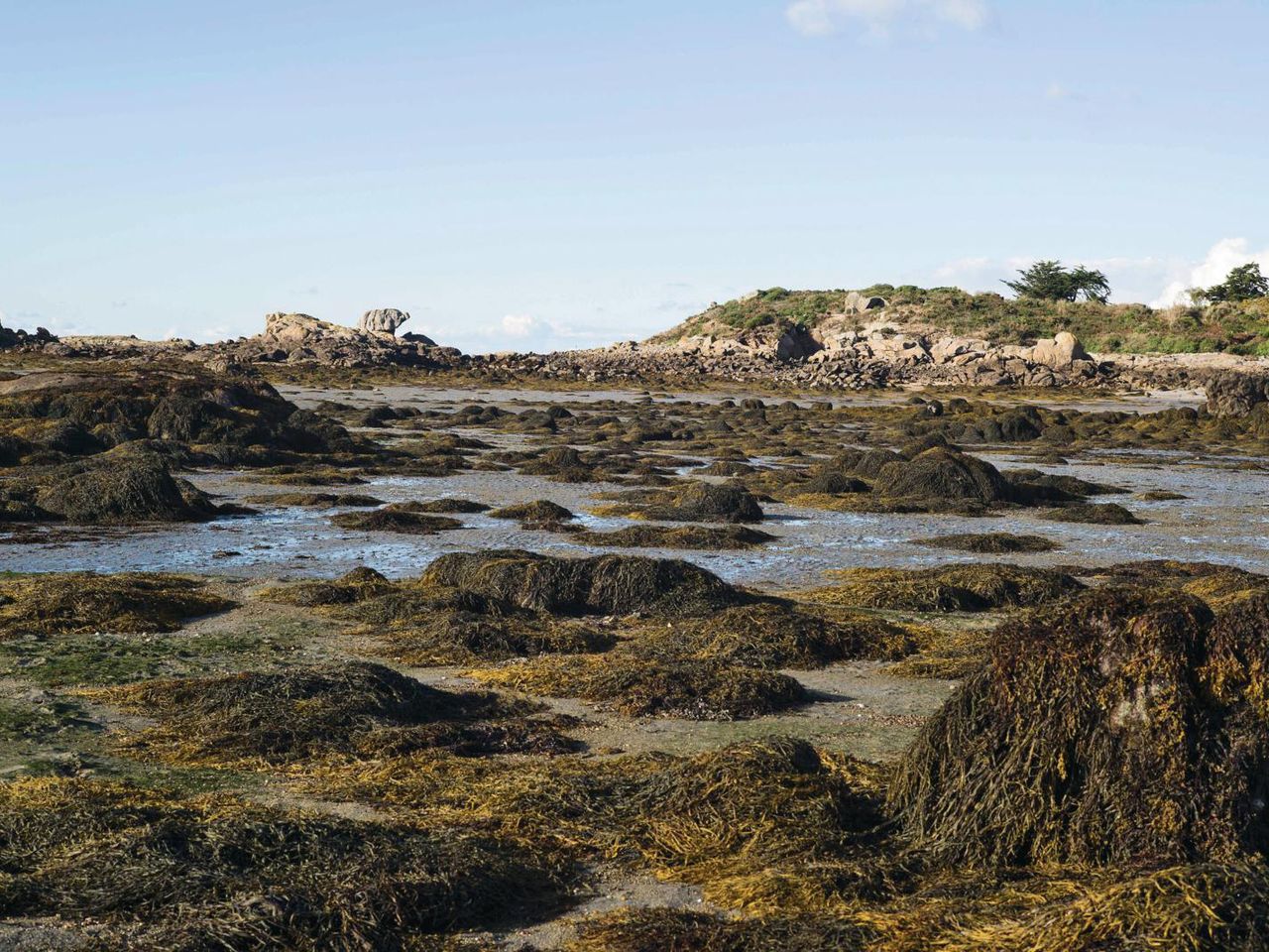 Ebbe rund um die Île Chausey, Nordfrankreich