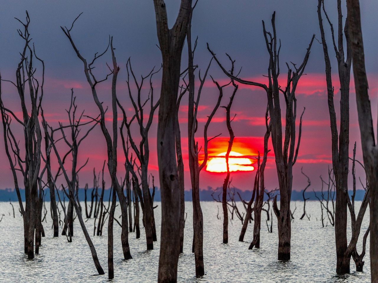 Morgens am Lake Kariba