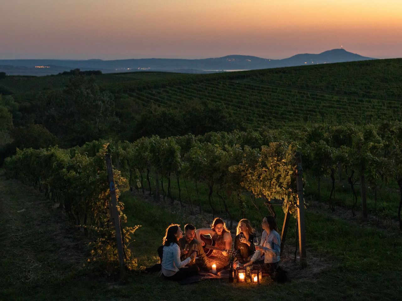 Weinberge in Tschechien