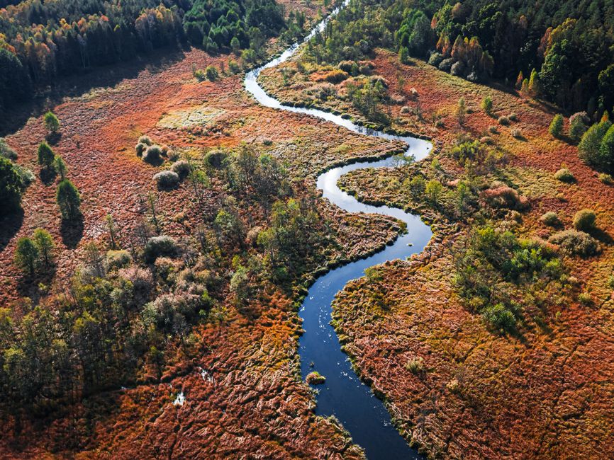 Bory Tucholskie, Tucheler Heide in Polen
