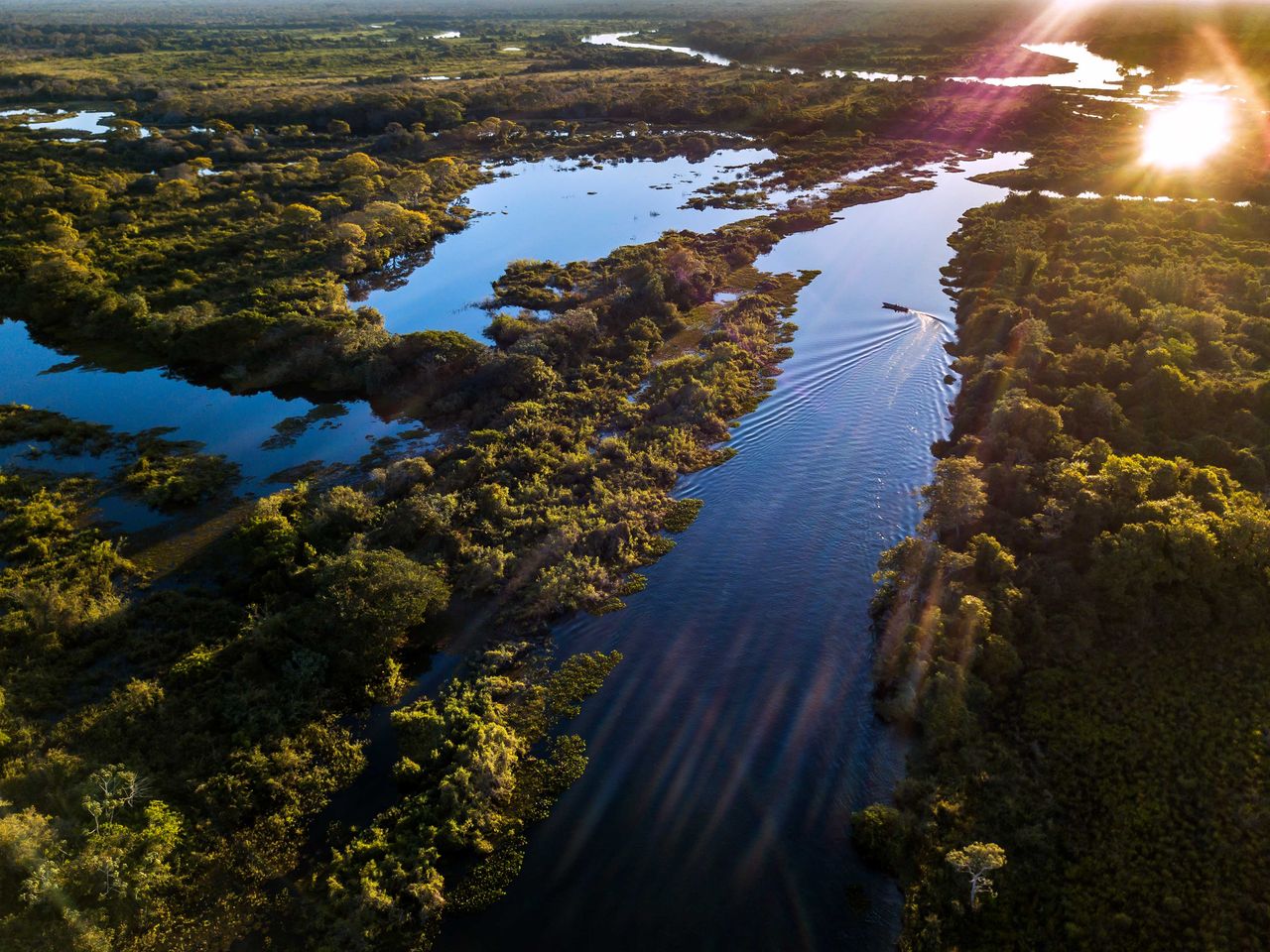 Luftaufnahme Pantanal, Brasilien