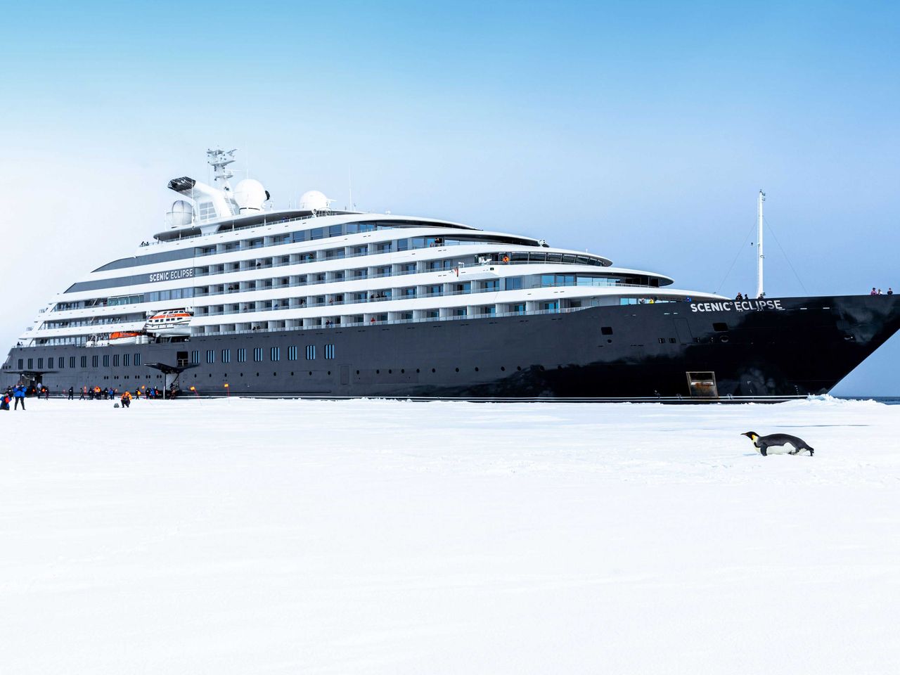 Begegnung der Scenic Eclipse mit einem Kaiserpinguin