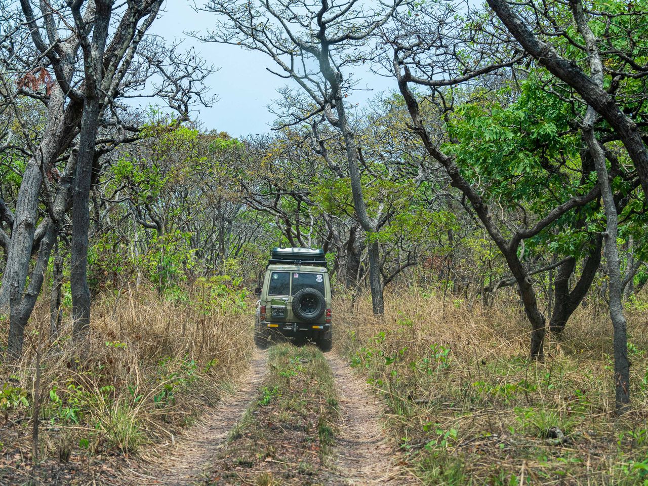 Jeep im Cangandala-Nationalpark in Angola