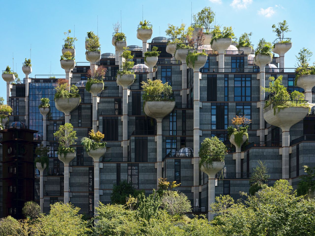 1000 Trees, Shanghai