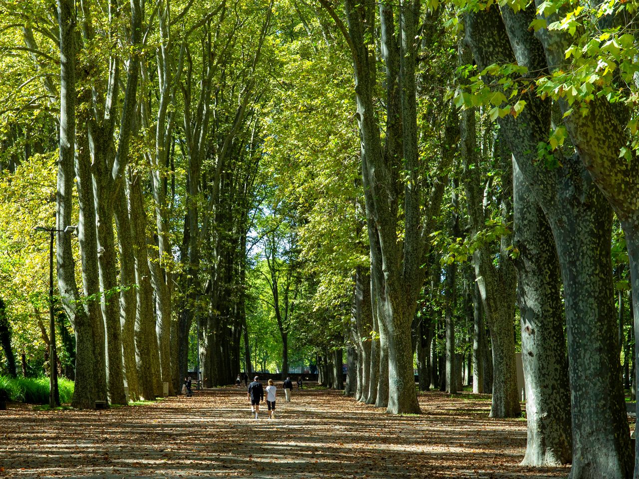 Parc de la Devesa, Girona