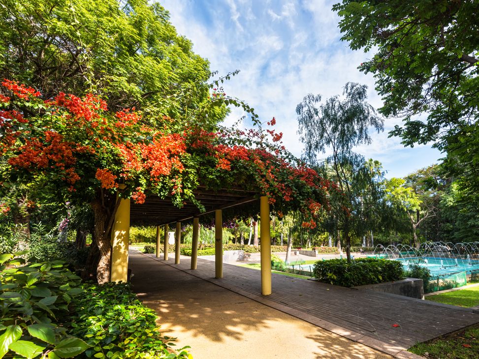 Parque García Sanabria, Santa Cruz