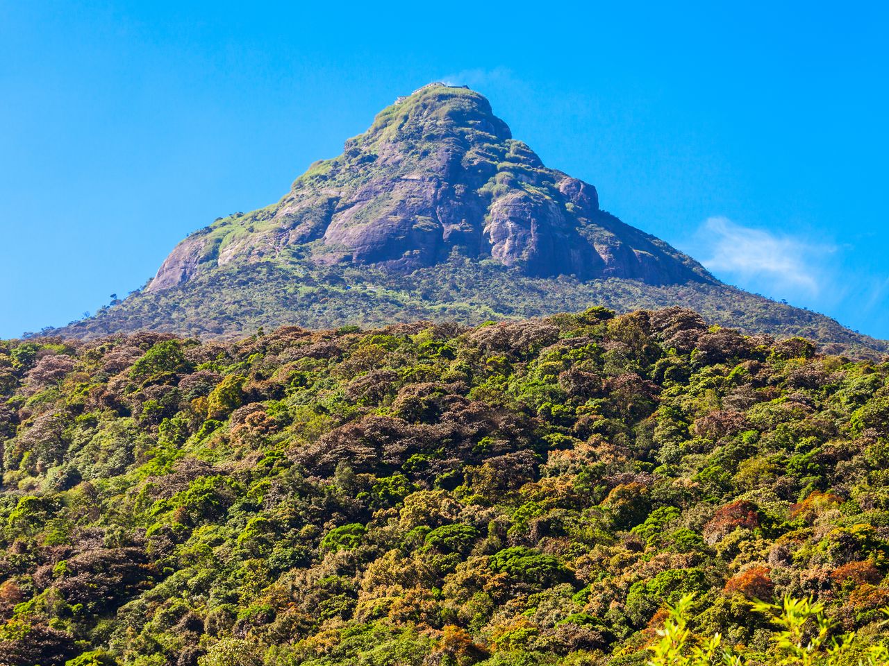 Adam&rsquo;s Peak in Sri Lanka