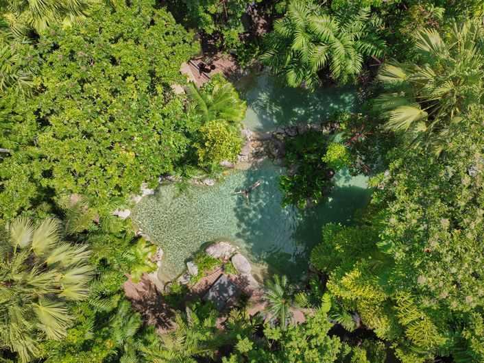 Silky Oaks Lodge, Queensland in Australien