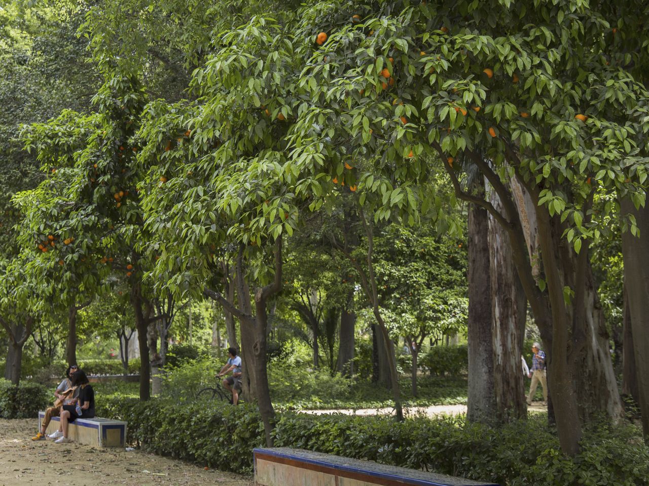 Parque Maria Luisa, Sevilla