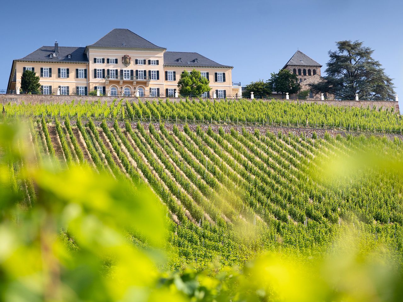 Schloss-Johannisberg