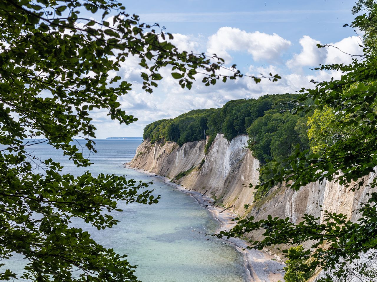 Kreidefelsen im Nationalpark Jasmund auf der Insel Rügen