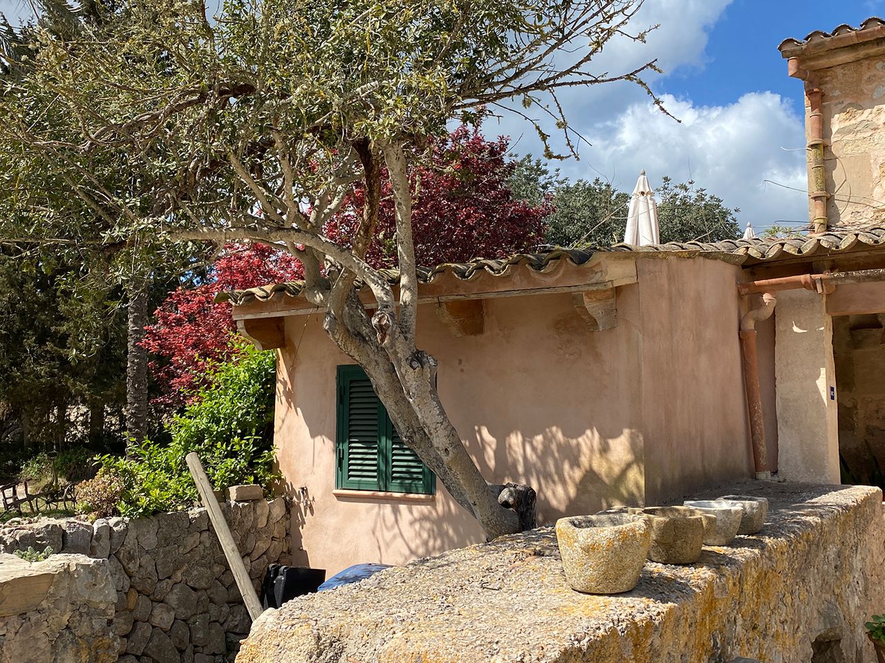 Mallorca, Finca Can Feliu