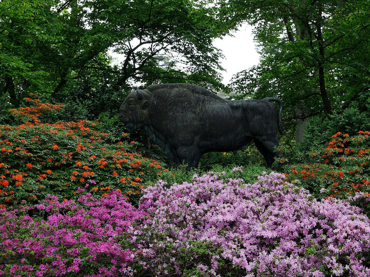 Rhododendron-Park Bremen