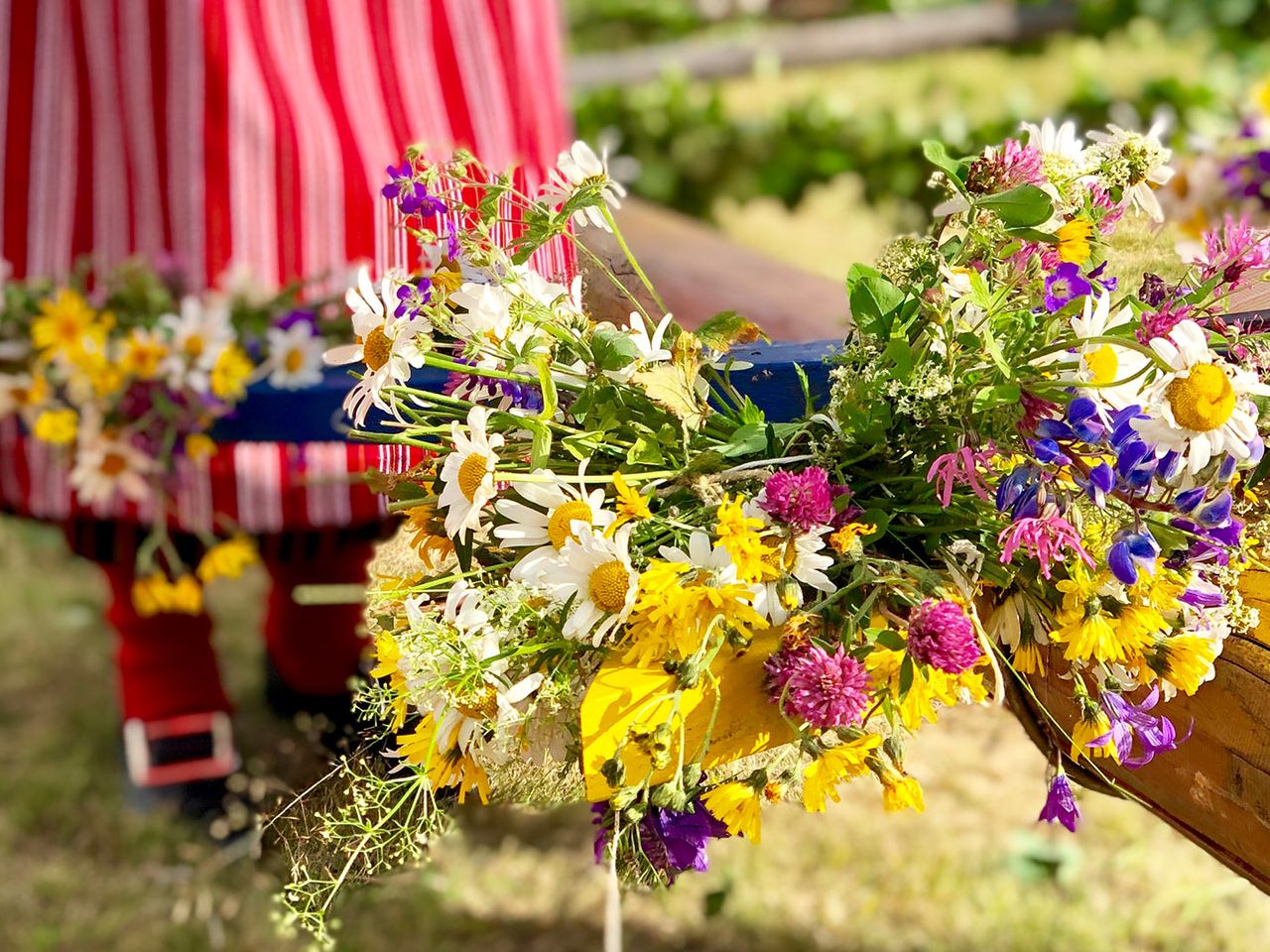 Schweden Mittsommer, Natur