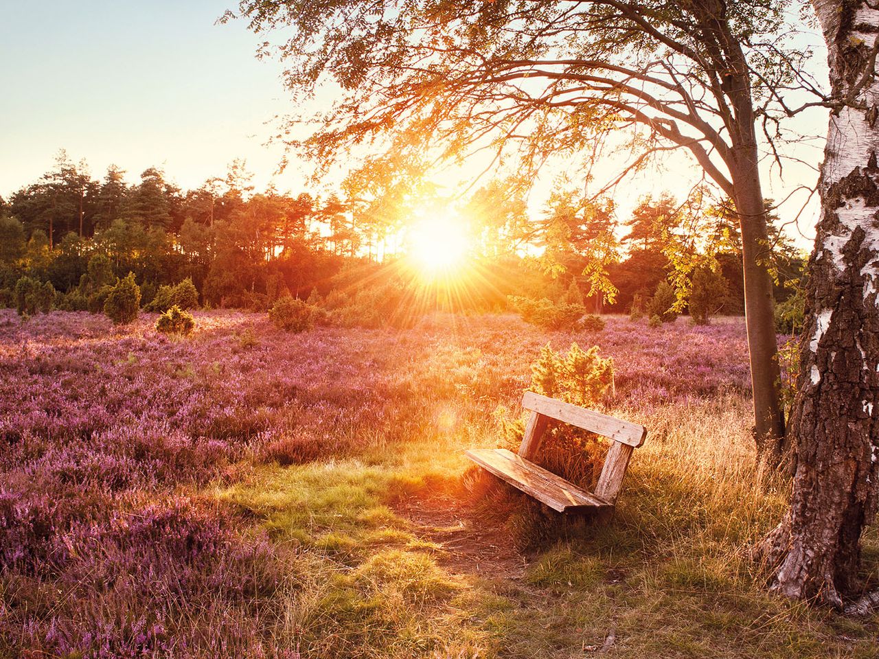 Lüneburger Heide, Wietzer Berg