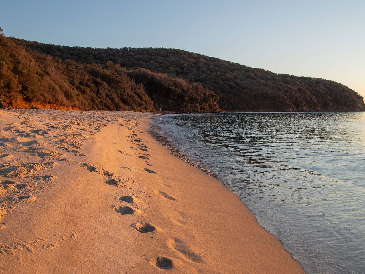 Cala Violina in der toskanischen Maremma, Strand und Bucht
