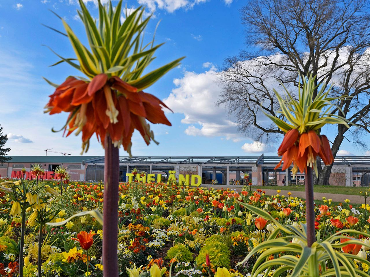 Spinelli Park, Bundesgartenschau 2023 in Mannheim