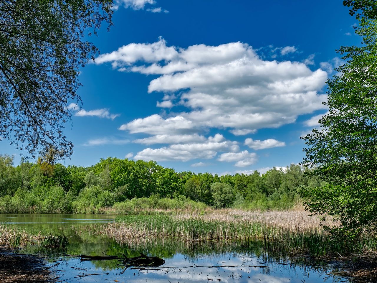 Fauler See, Berlin-Weißensee