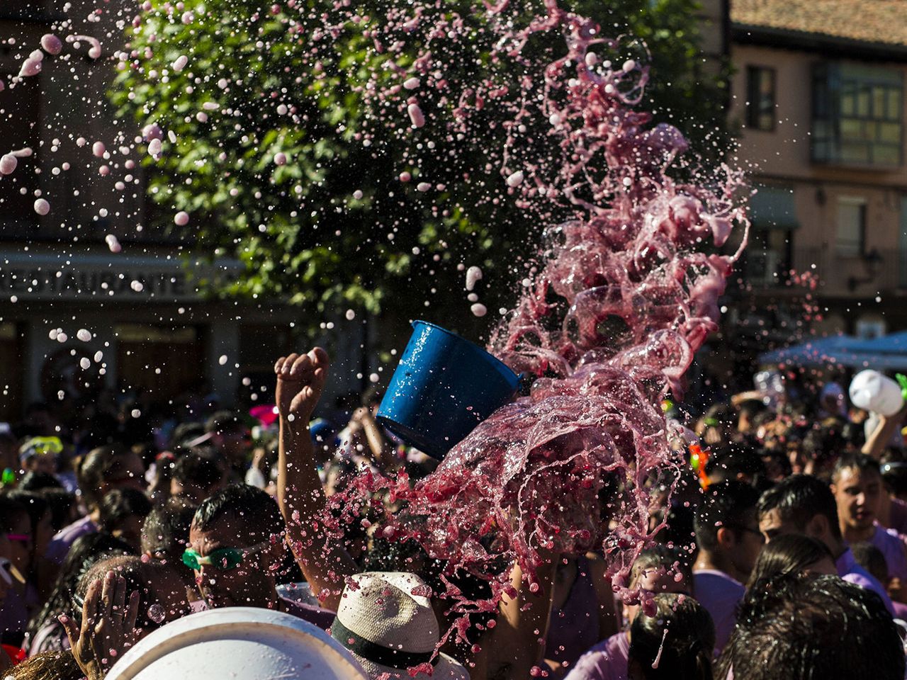 Batalla del Vino in Haro