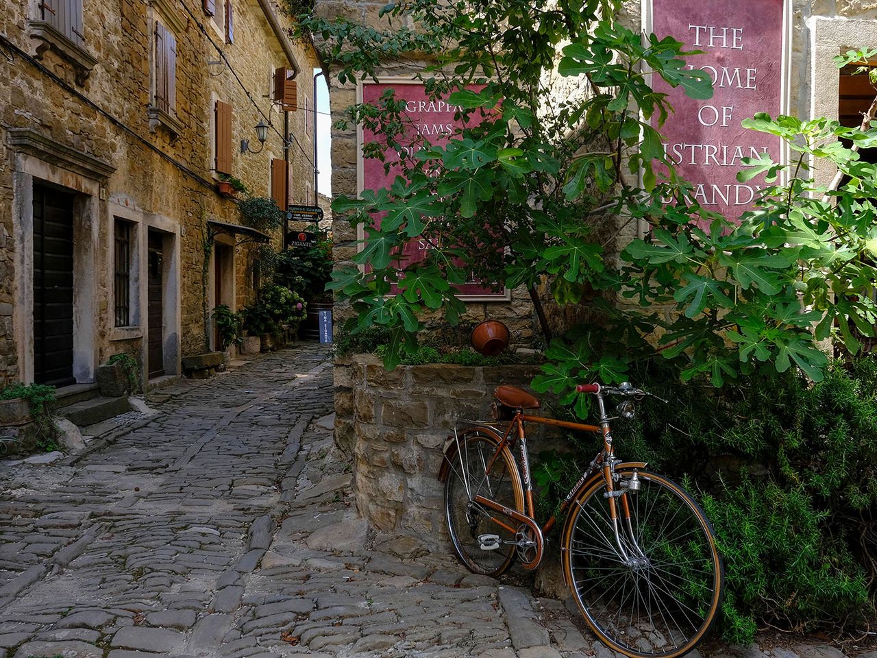 Gasse im Bergdorf Grožnjan, Istrien