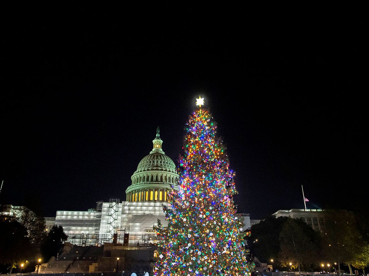 Weihnachtsbaum vorm Kapitol in Washington