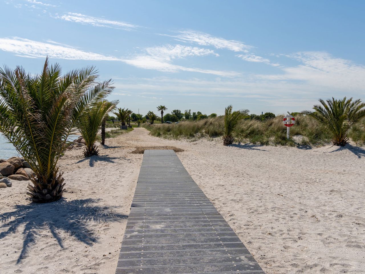 Palmen am Strand von Frederikshavn, Dänemark