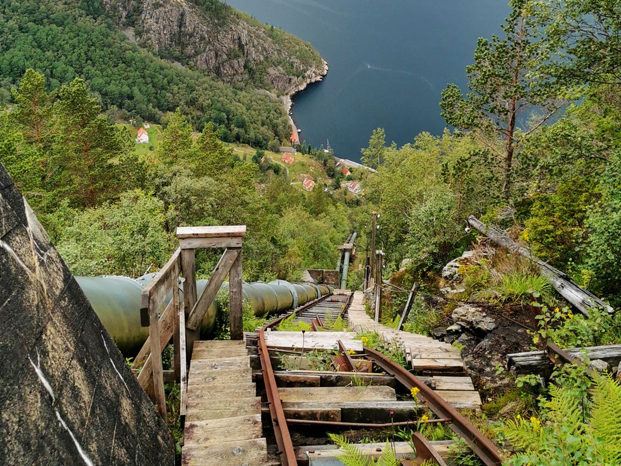 Flori, Lysefjorod in Norwegen