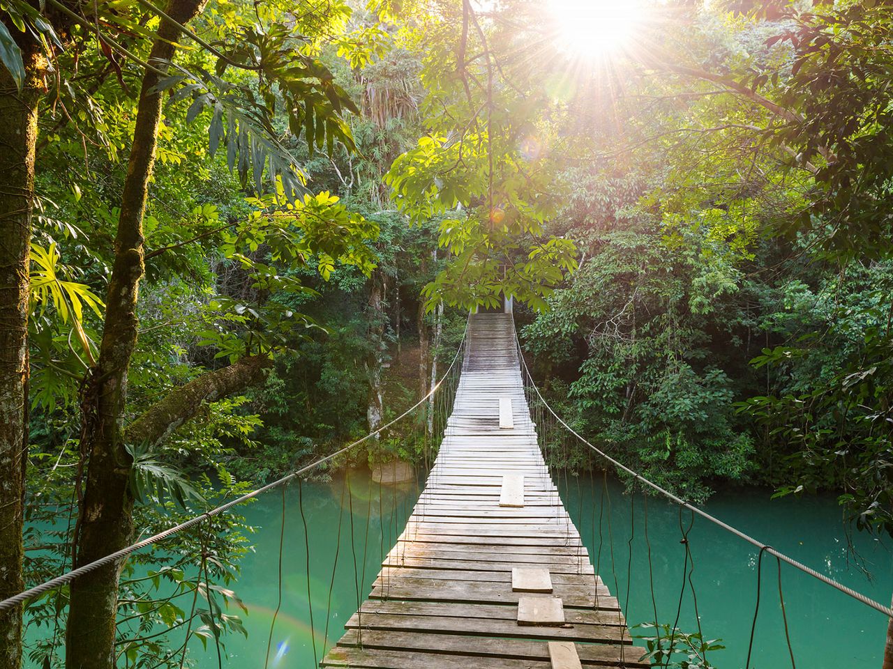 Belize, Brücke führt durch den Regenwald